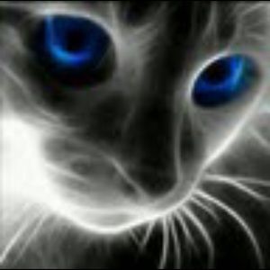 Meet your Posher, Abigail